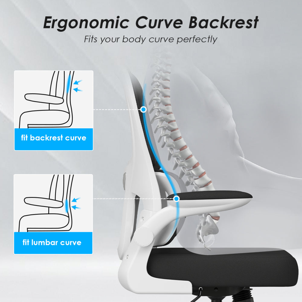 Mesh Ergonomic Office Chair | Tailored Lumbar Support | High-Density Double Mesh Backrest | Flip-Up Armrests | Breathable Elastic Sponge Seat | 90°–120° Tilt + Pneumatic Height Adjustment | 350 lbs | Easy Assembly | Home, Study, Office