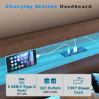 Full/Queen Size Wood Platform Bed with Bookshelf Storage Headboard | 2 Drawers | 2 AC Outlets 1 USB 1 Type-C Charging Station | 60,001 Color LED Lights APP Control | No Box Spring | Brown/Black/Walnut