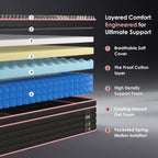 10 Inch - Queen/ King | Noir H14 Hybrid Pocket Spring Mattress