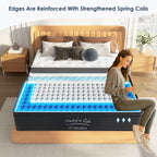 Twin/Full/Queen/King —  12 Inch DreamLayer H7 Hybrid Pocket Spring Mattress