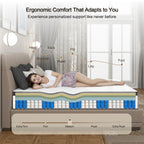 12" Full/Queen Hybrid Mattress | Individually Wrapped Pocket Coil Innerspring + Memory Foam | Bamboo Fiber Cover | Medium Firm | CertiPUR-US & OEKO-TEX Certified | Bedroom