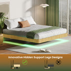 Oak King Floating Bed Frame with LED Lights, Wave Curve Wood Texture Bed with Heavy Duty Metal Slats - No Box Spring Needed.