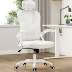 White Ergonomic