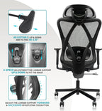 Apex Mesh Ergonomic High-Back Office Chair