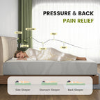 Twin/Full/Queen/King | 12" Memory Foam Mattress | Cooling Green Tea Gel | Dual-Layer High-Density Foam | Removable Washable Cover | CertiPUR-US Certified | Bedroom, Guest Room, Dorm | White