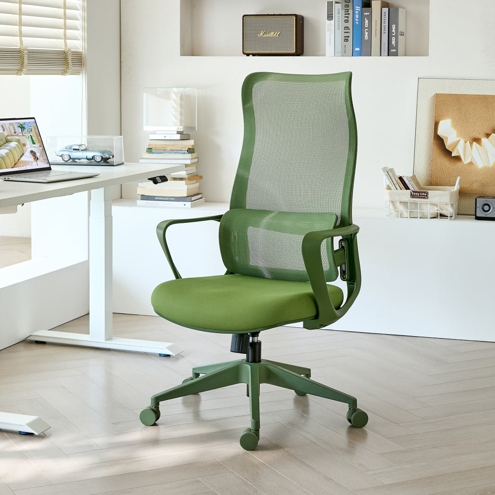 Ergonomic High-Back Mesh Office Chair
